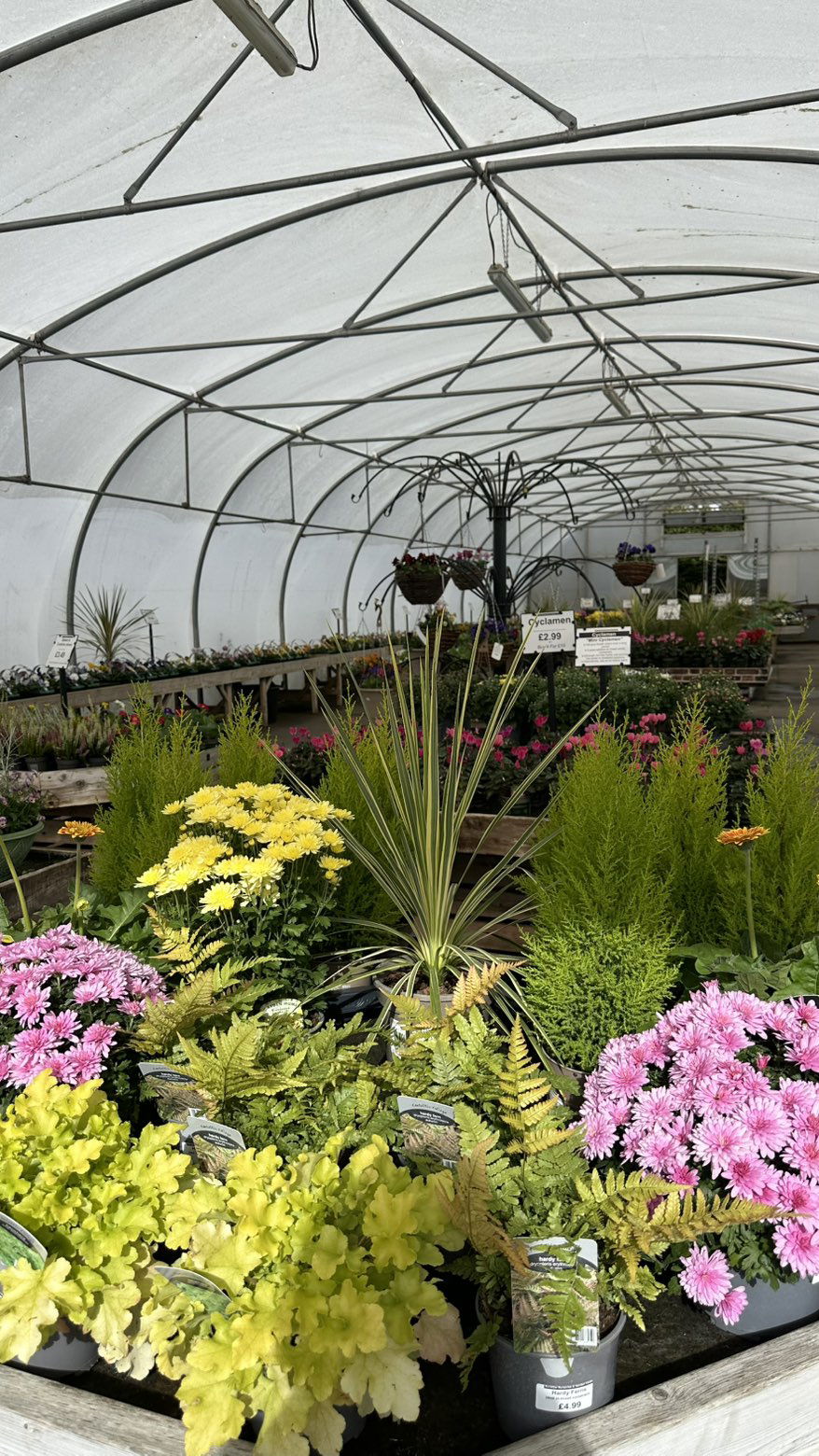 mira.0004 snapchat image archive image