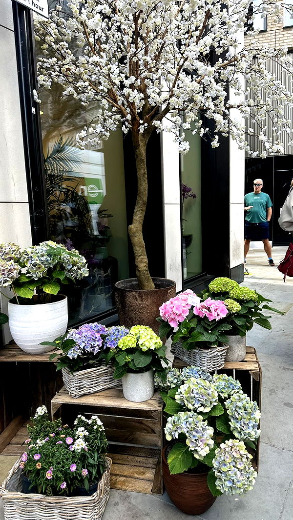 mira.0004 image ~ Altpins