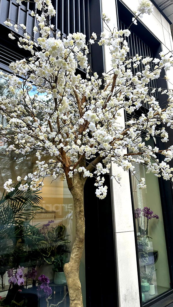 mira.0004 image ~ Altpins