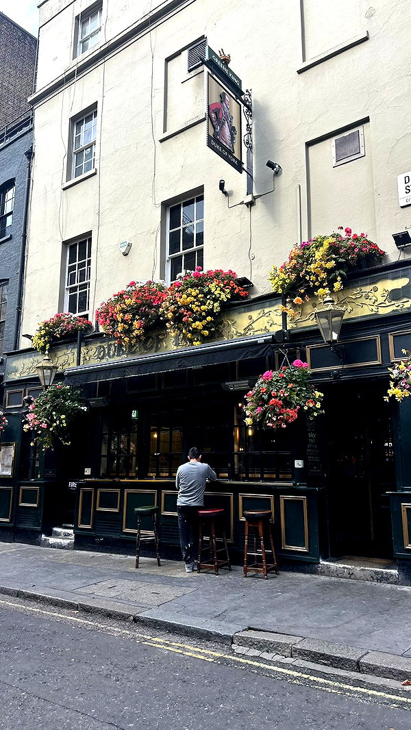 mira.0004 image ~ Altpins