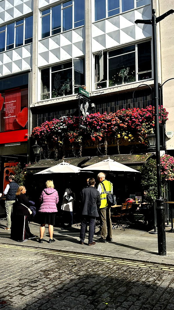 mira.0004 image ~ Altpins