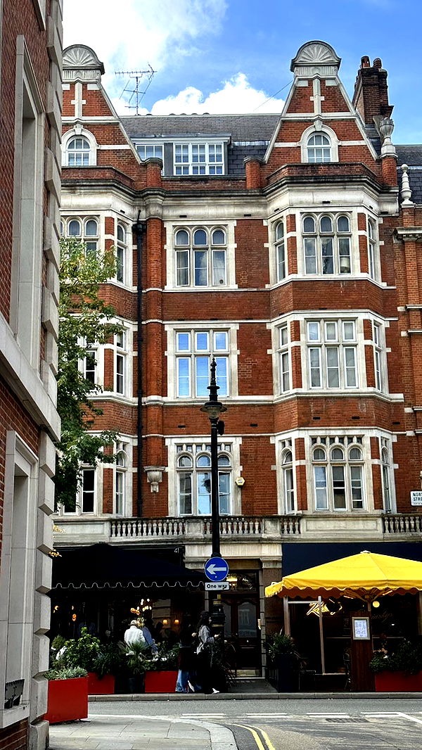 mira.0004 image ~ Altpins