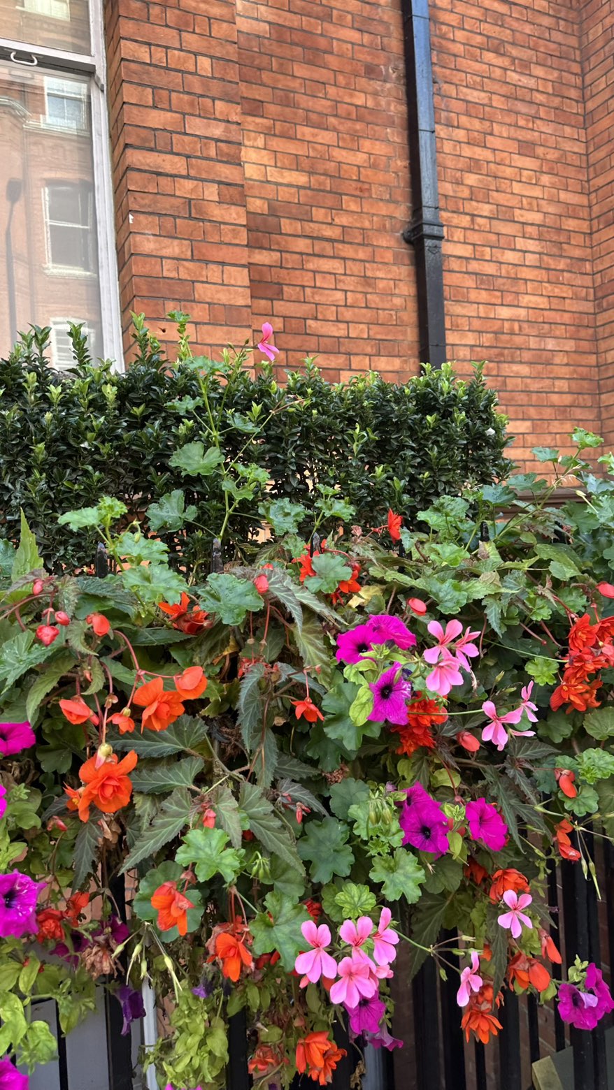 mira.0004 snapchat image archive image