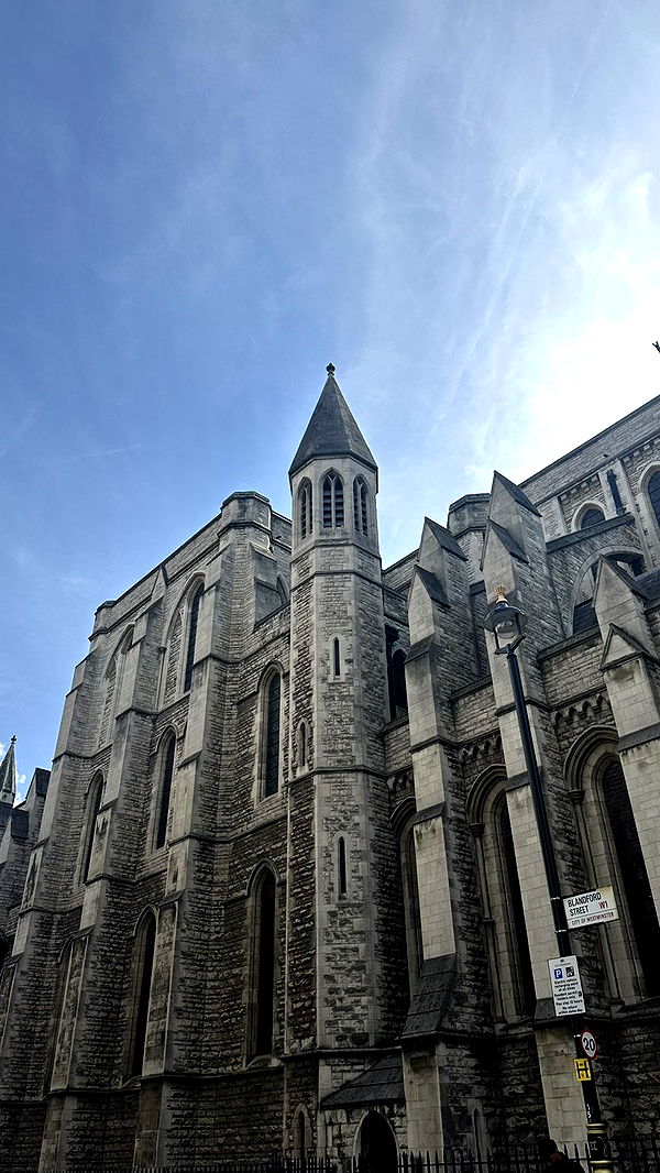 mira.0004 image ~ Altpins