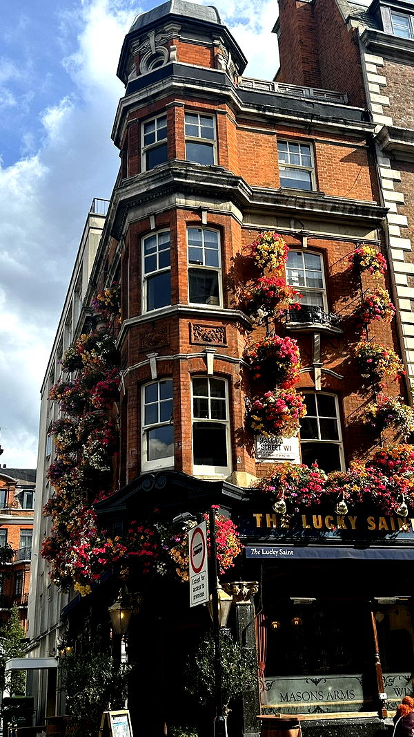 mira.0004 image ~ Altpins