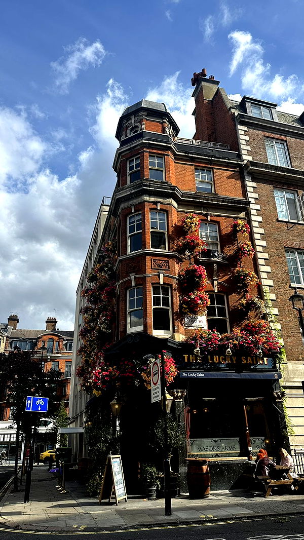 mira.0004 image ~ Altpins