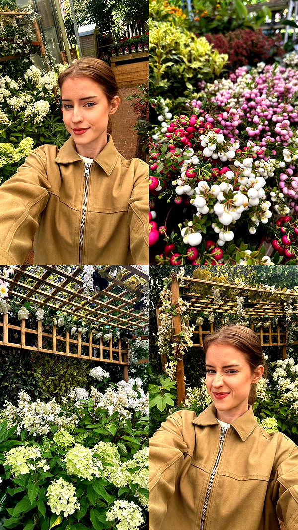 mira.0004 image ~ Altpins