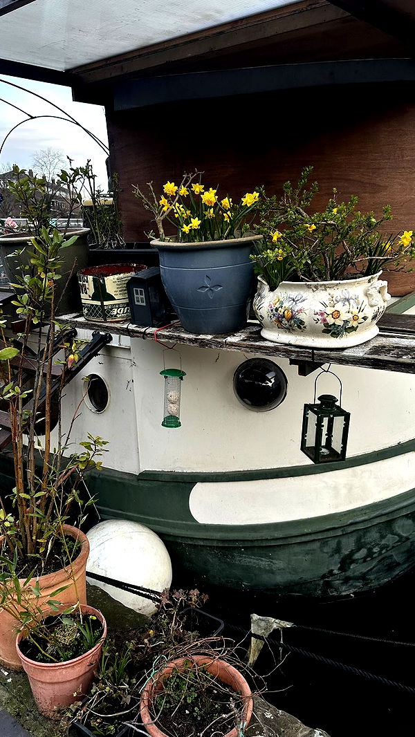 mira.0004 image ~ Altpins