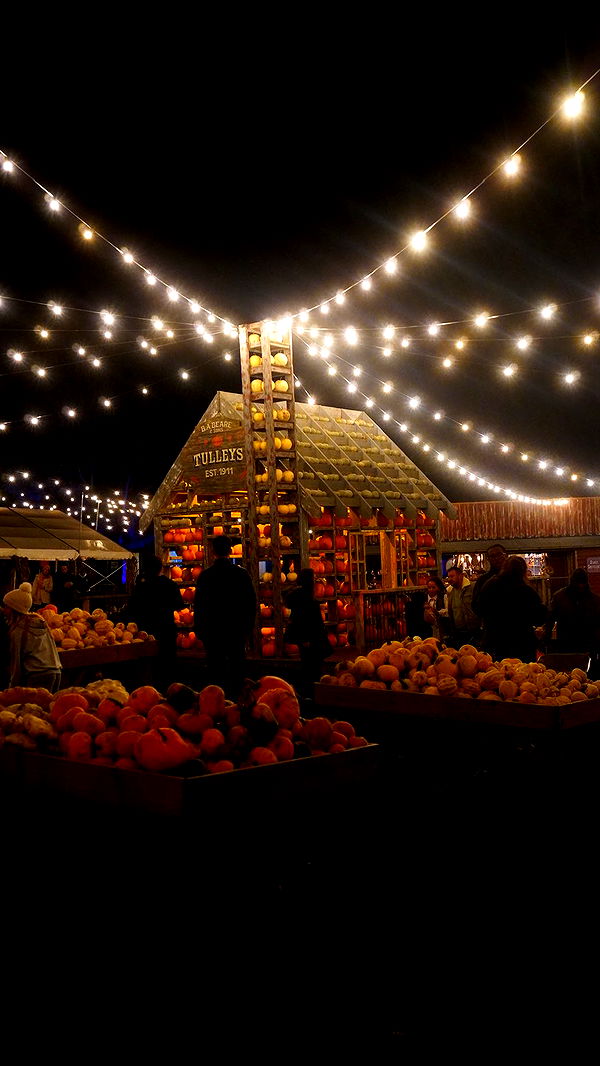 mira.0004 image ~ Altpins