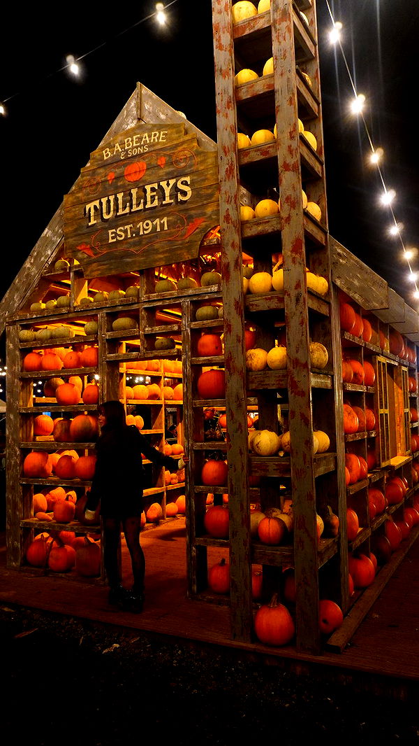 mira.0004 image ~ Altpins