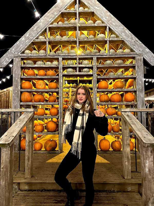 mira.0004 image ~ Altpins