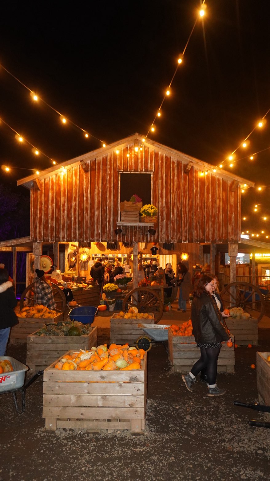 mira.0004 snapchat image archive image