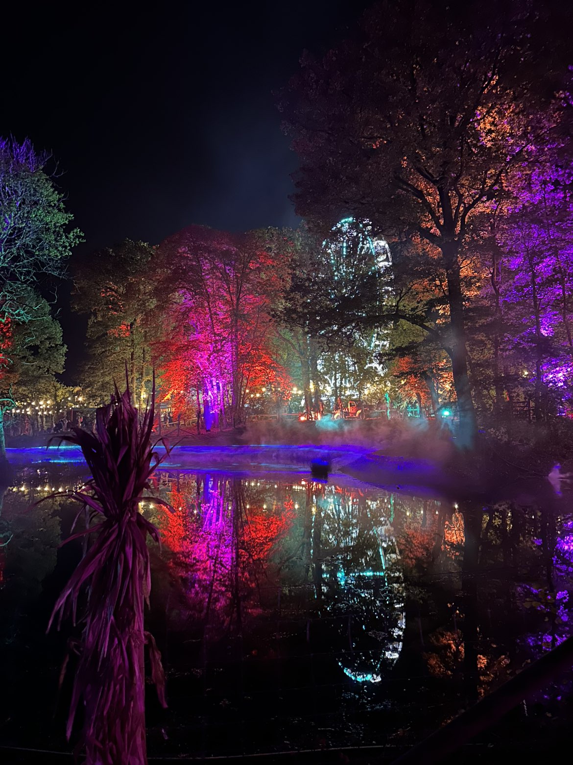 mira.0004 snapchat image archive image