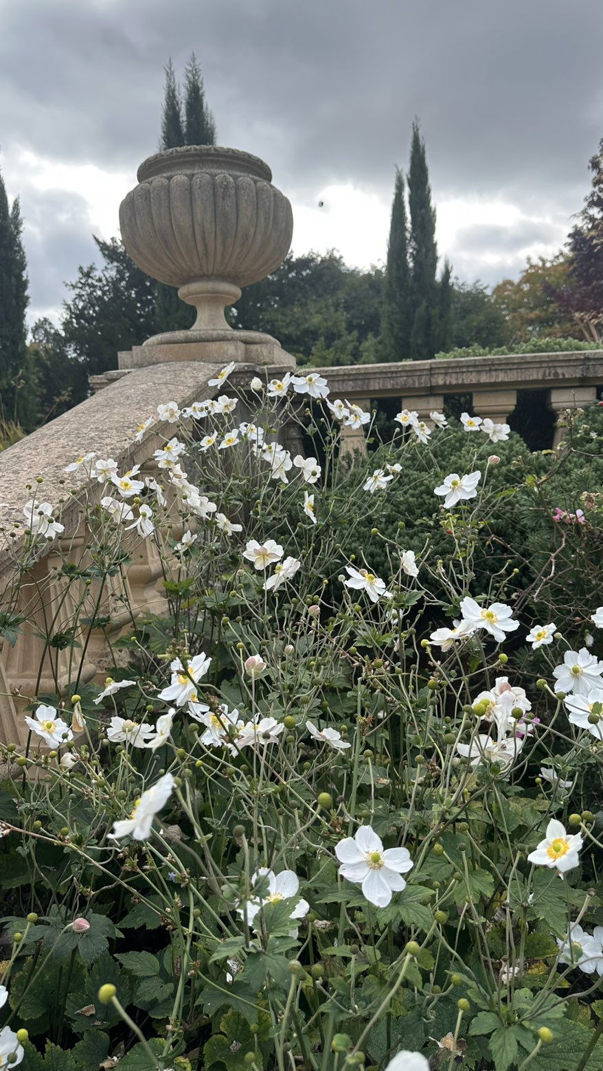 mira.0004 snapchat image archive image