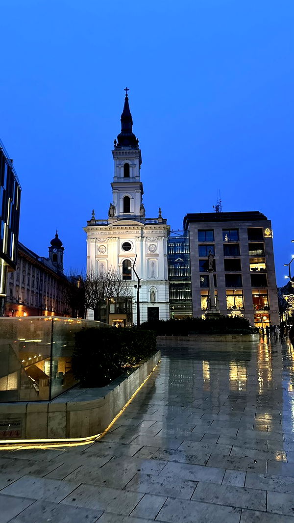 mira.0004 image ~ Altpins