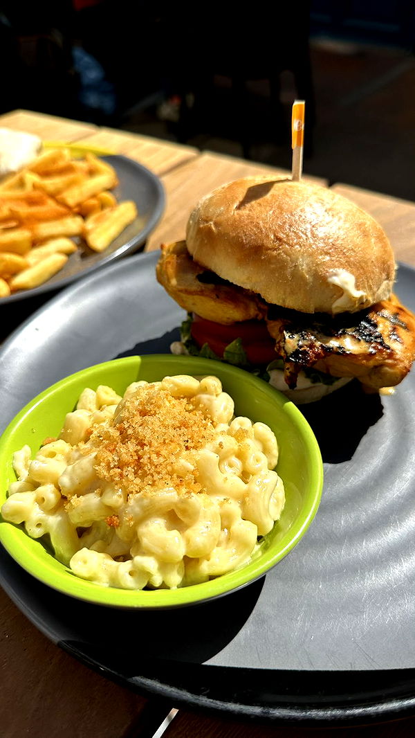 mira.0004 image ~ Altpins