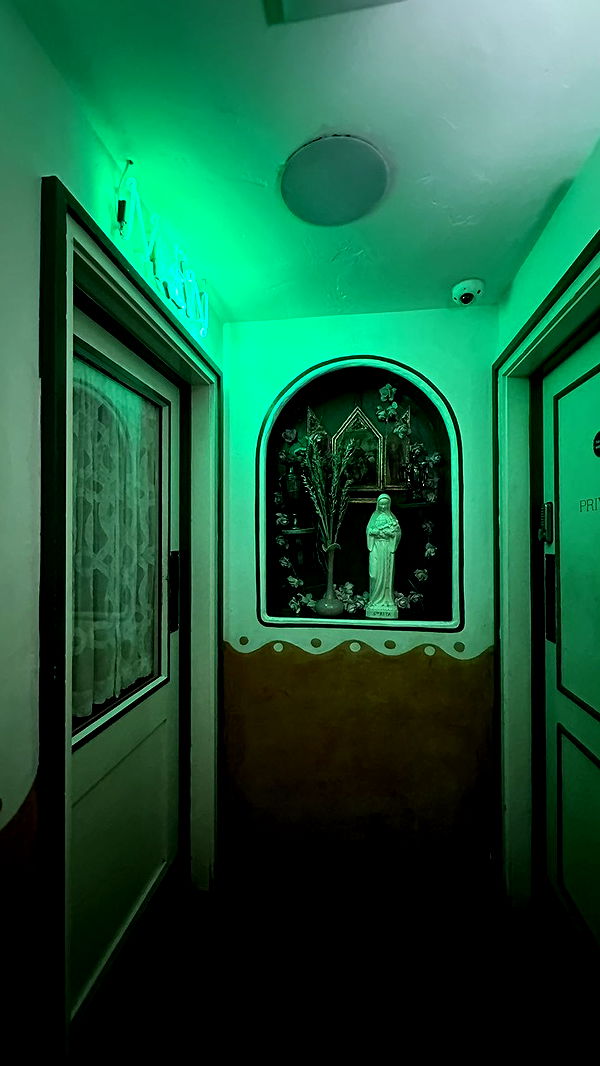 mira.0004 image ~ Altpins