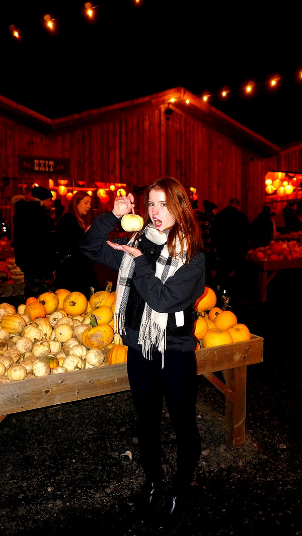 mira.0004 image ~ Altpins