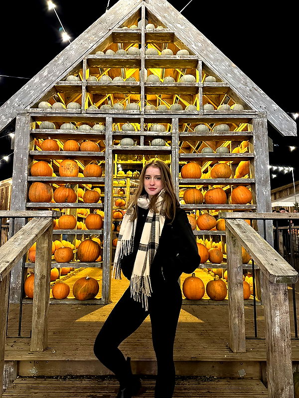 mira.0004 image ~ Altpins