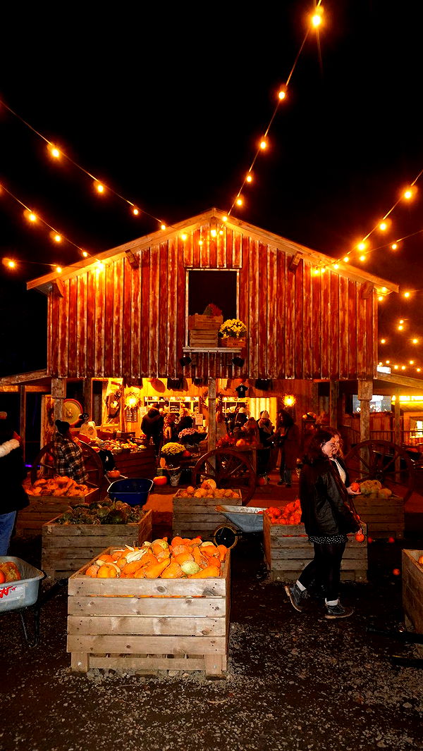 mira.0004 image ~ Altpins