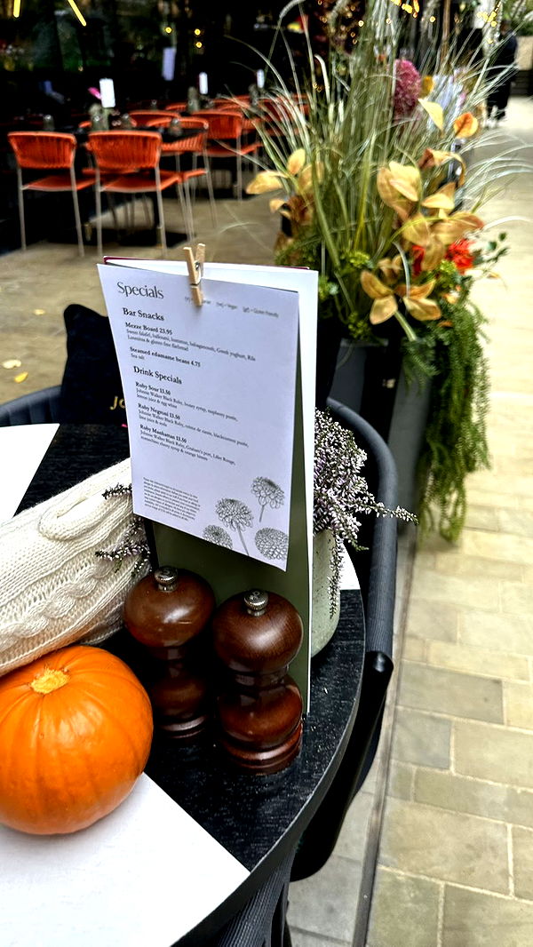 mira.0004 image ~ Altpins