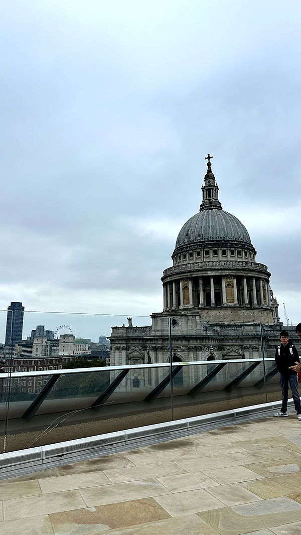 mira.0004 image ~ Altpins