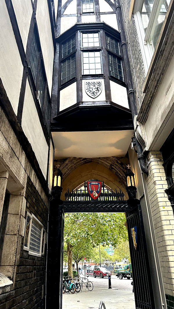 mira.0004 image ~ Altpins