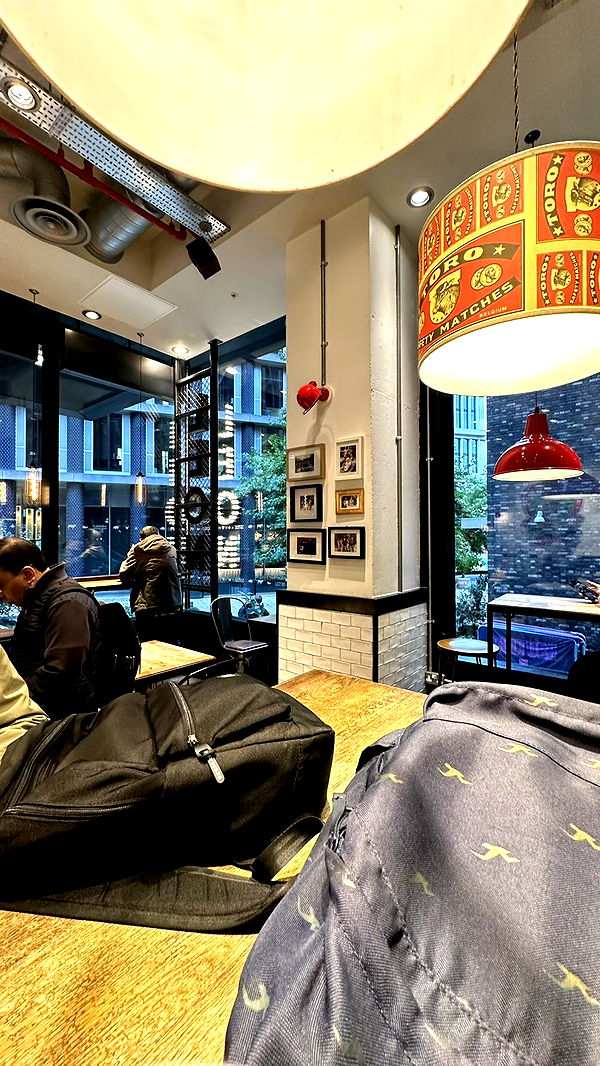 mira.0004 image ~ Altpins