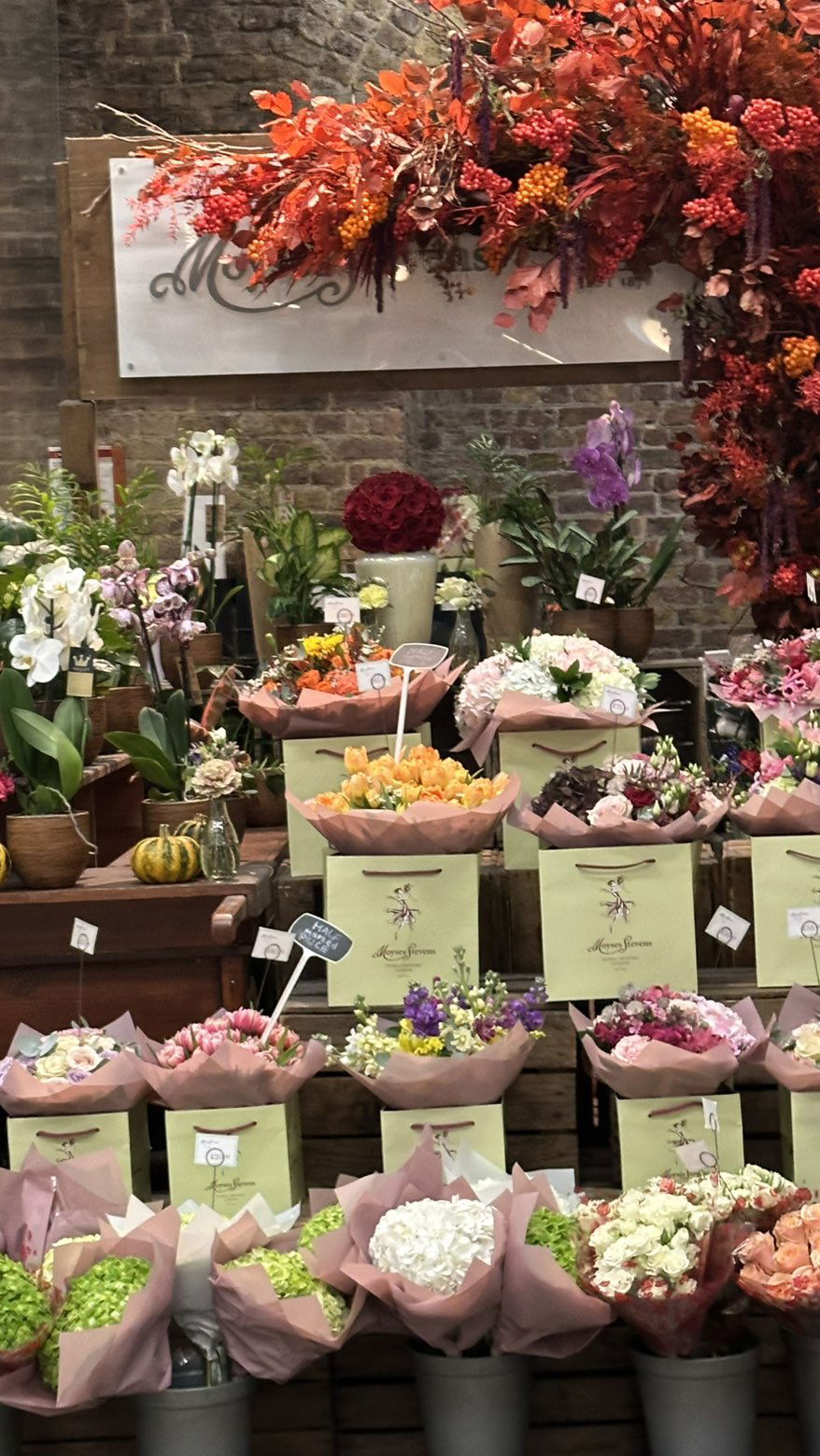 mira.0004 snapchat image archive image