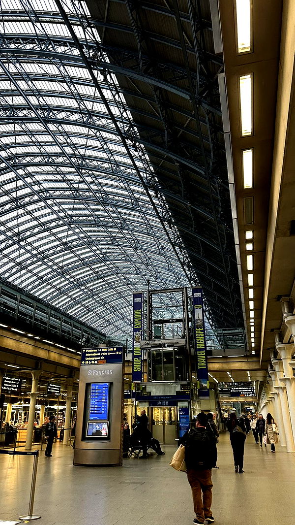 mira.0004 image ~ Altpins