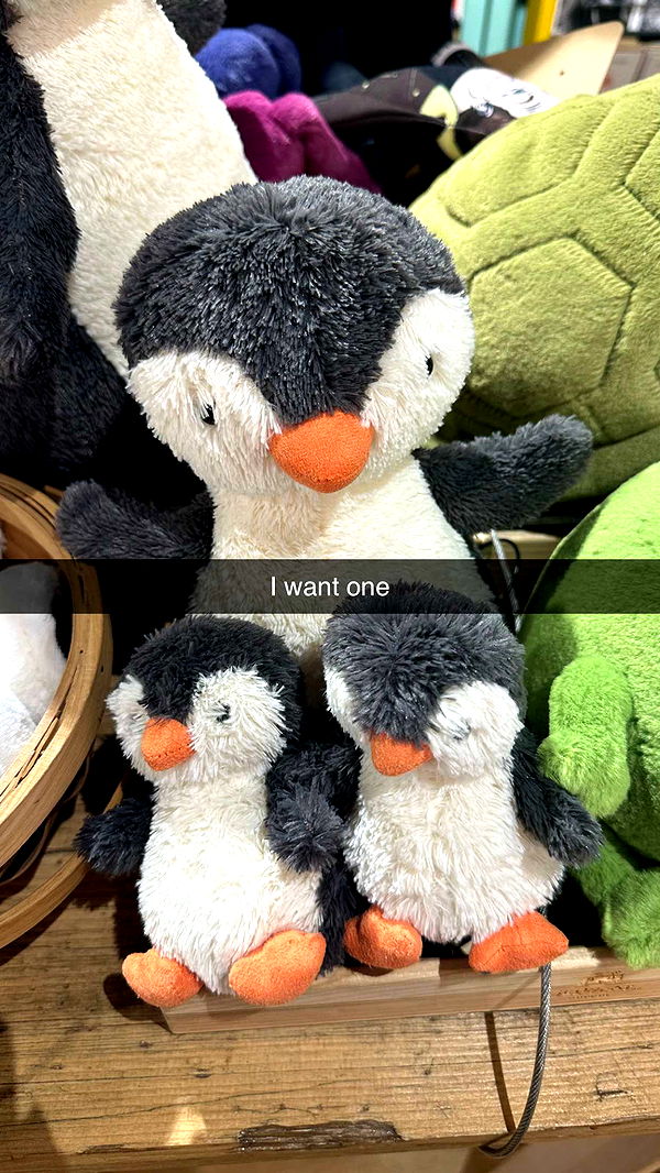 mira.0004 image ~ Altpins