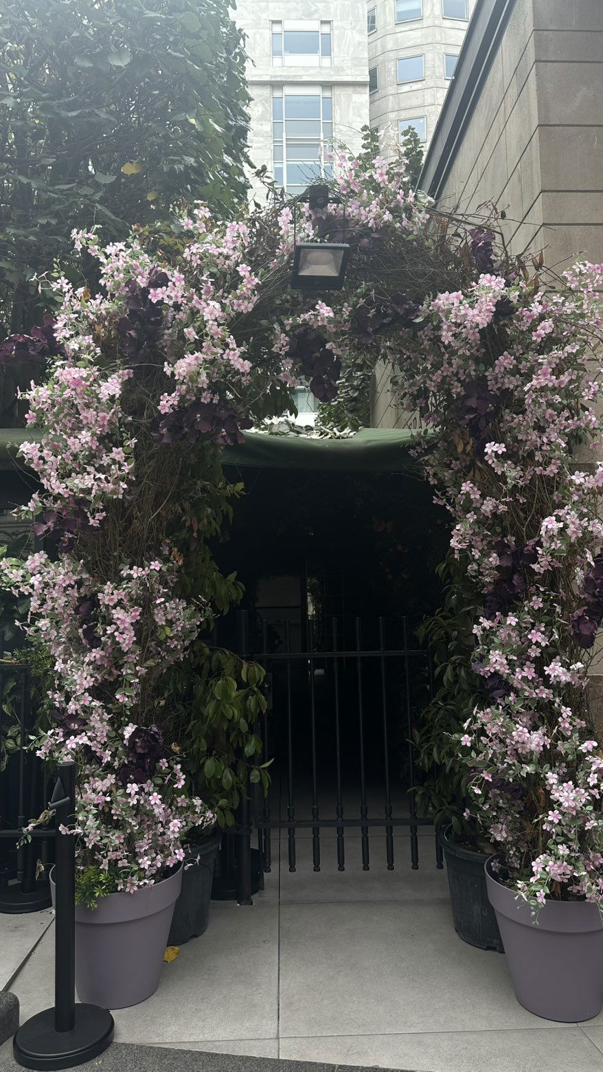 mira.0004 snapchat image archive image