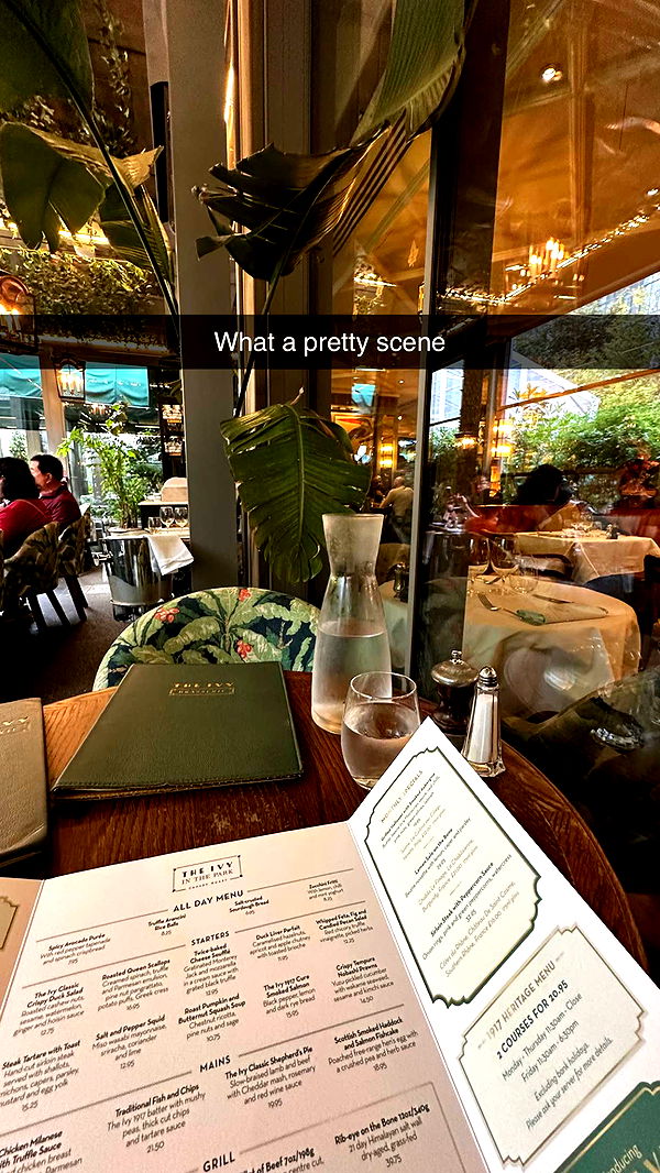 mira.0004 image ~ Altpins