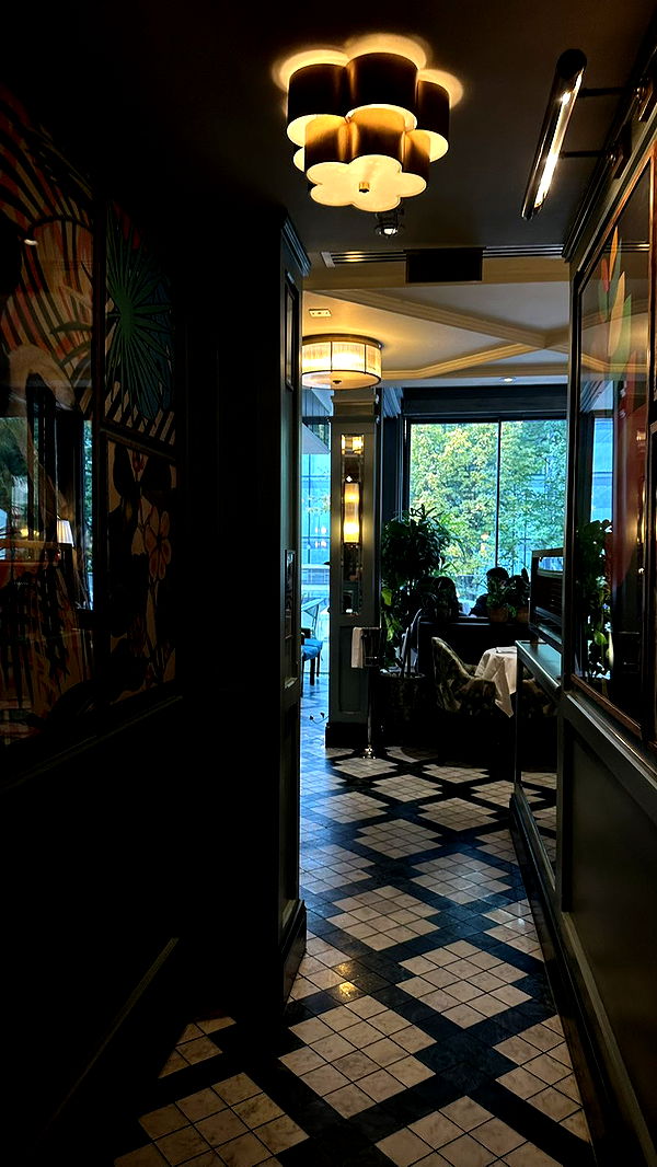 mira.0004 image ~ Altpins