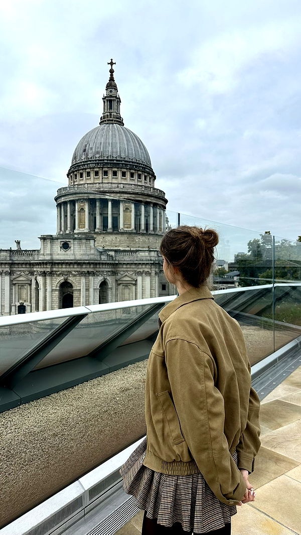 mira.0004 image ~ Altpins