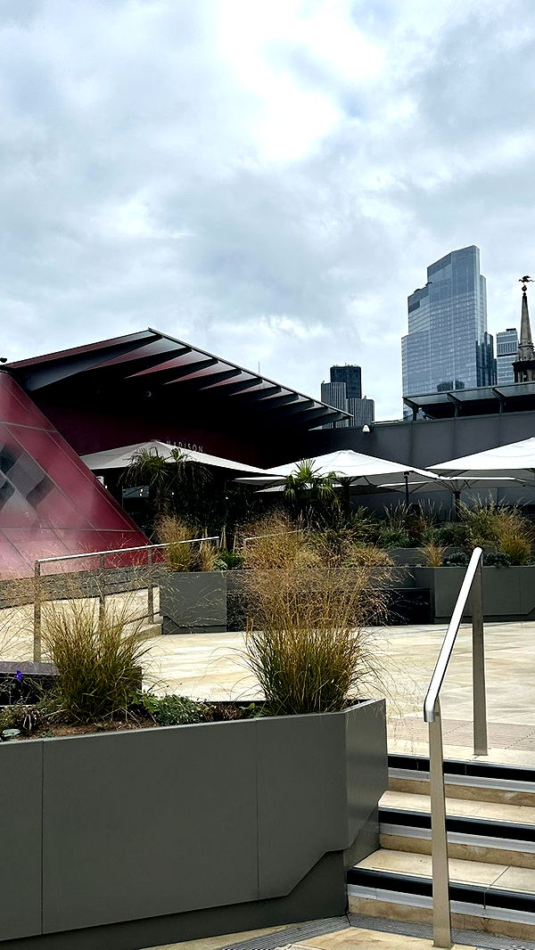 mira.0004 image ~ Altpins