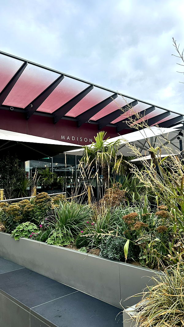 mira.0004 image ~ Altpins