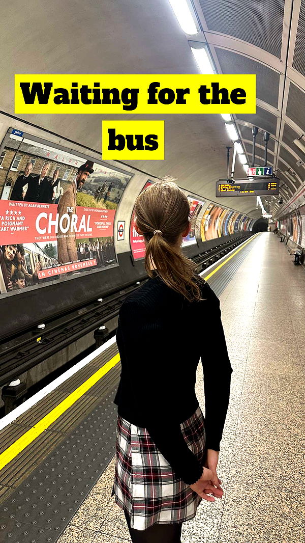 mira.0004 image ~ Altpins