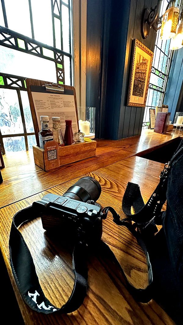 mira.0004 image ~ Altpins