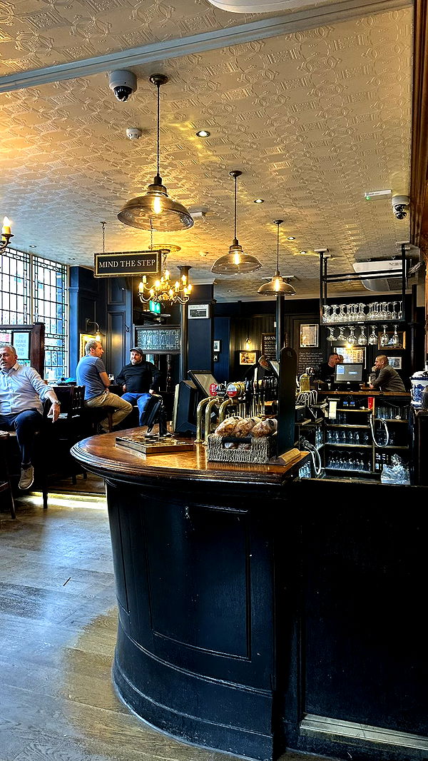 mira.0004 image ~ Altpins