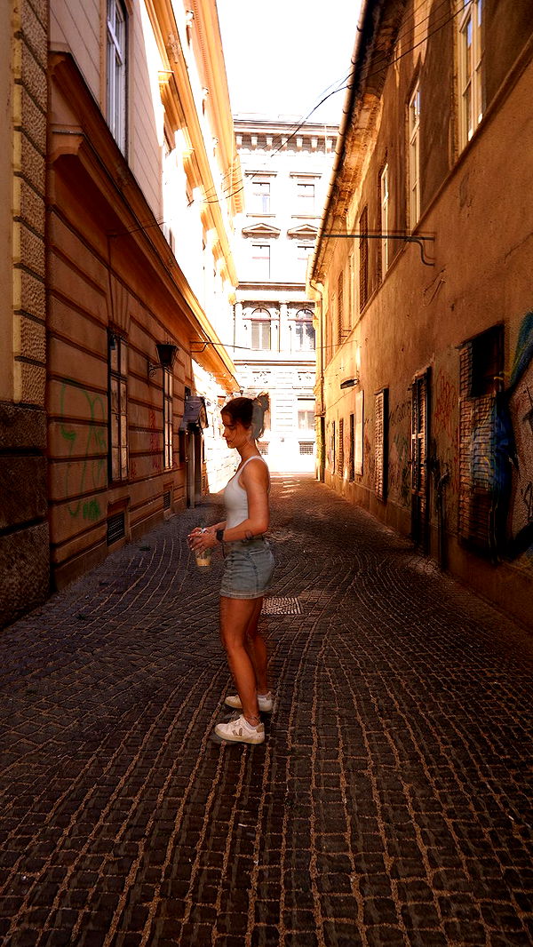 mira.0004 image ~ Altpins