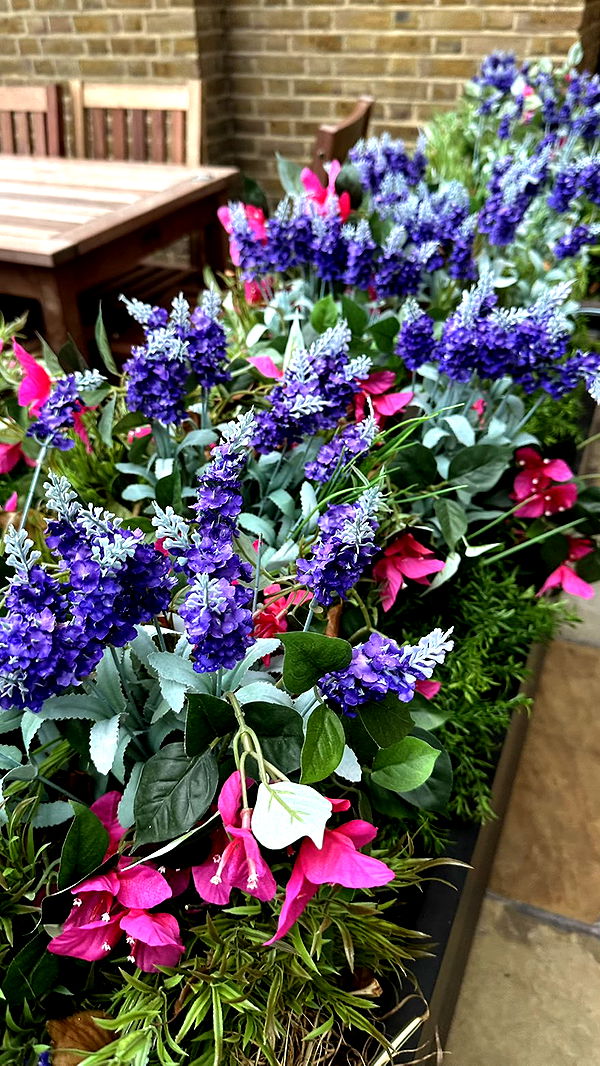 mira.0004 image ~ Altpins