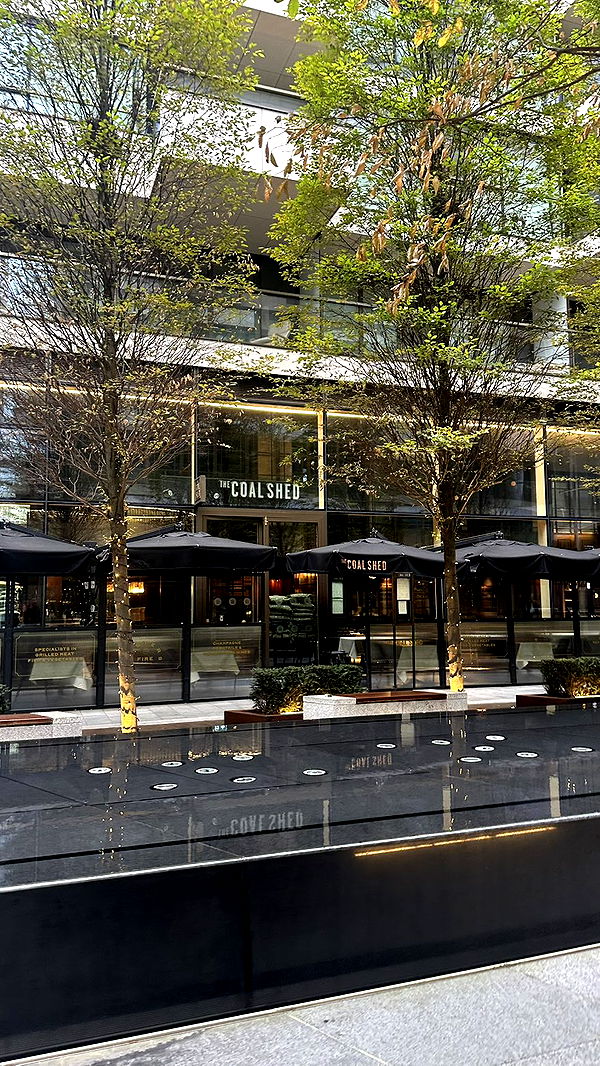 mira.0004 image ~ Altpins