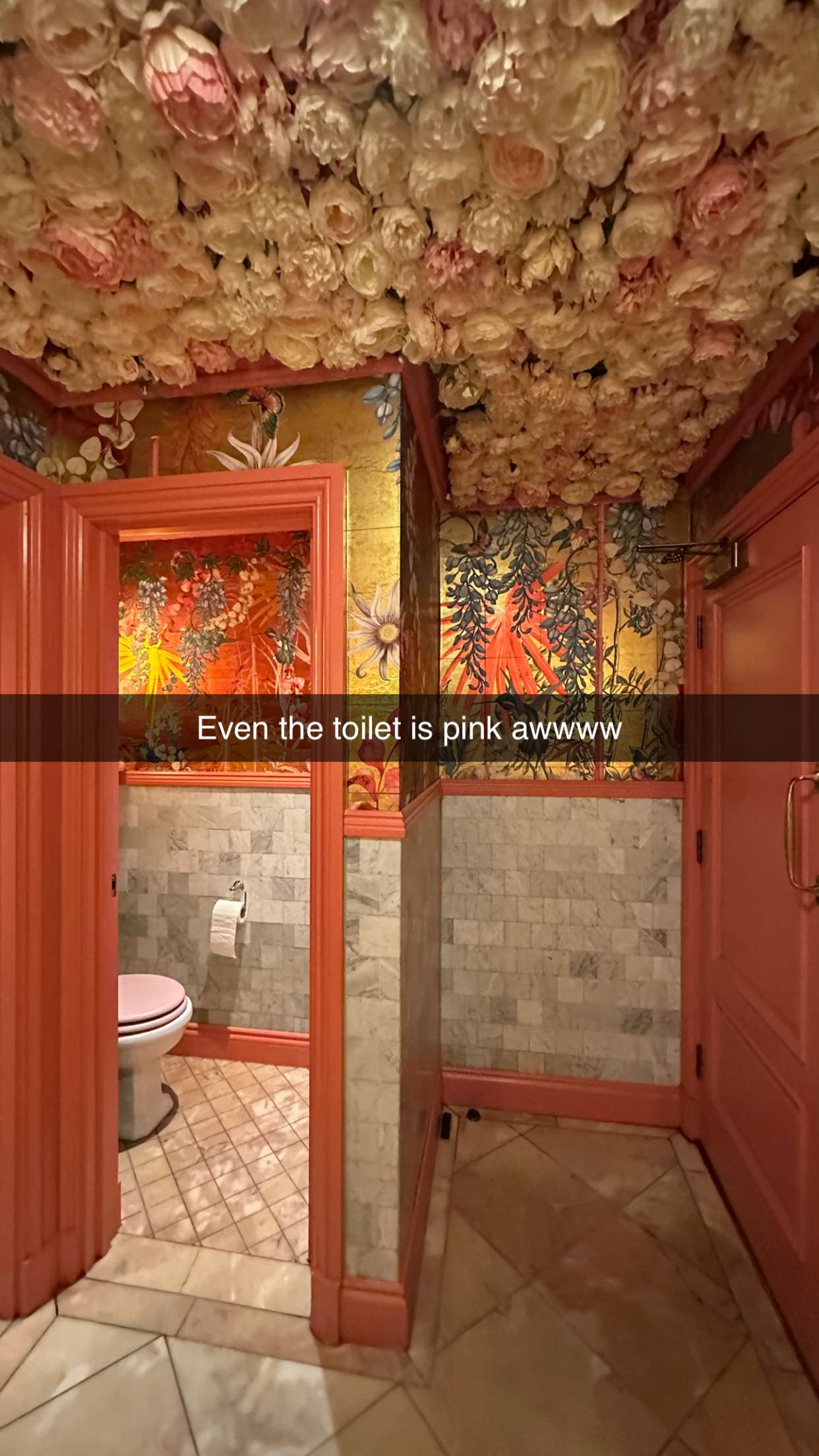 mira.0004 snapchat image archive image