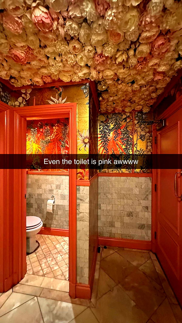 mira.0004 image ~ Altpins