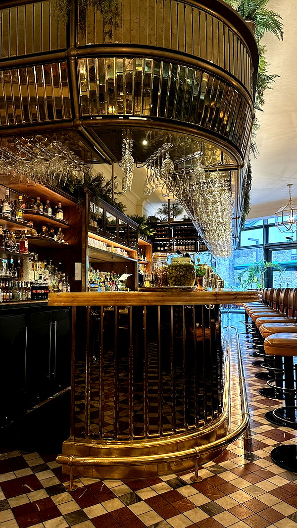 mira.0004 image ~ Altpins