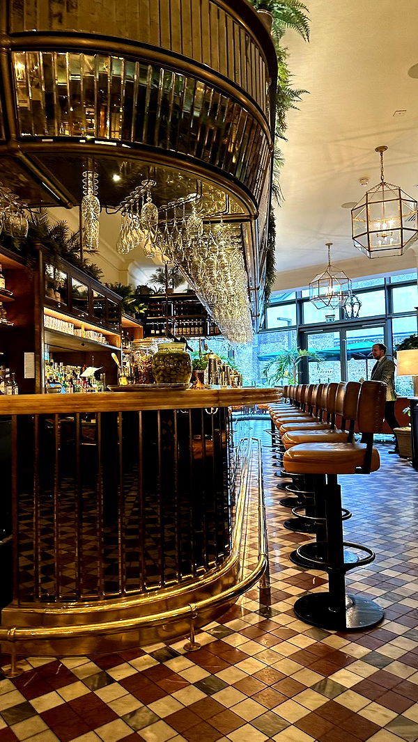 mira.0004 image ~ Altpins