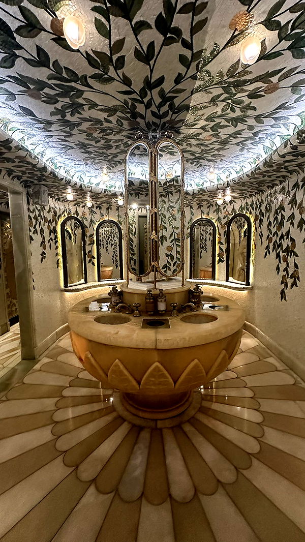 mira.0004 image ~ Altpins