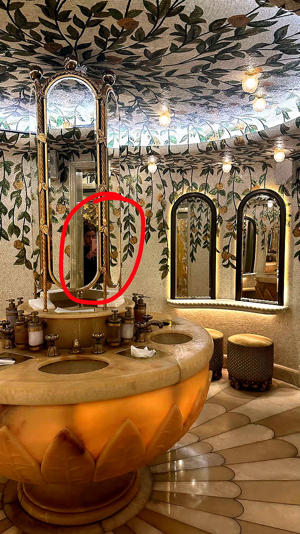 mira.0004 image ~ Altpins