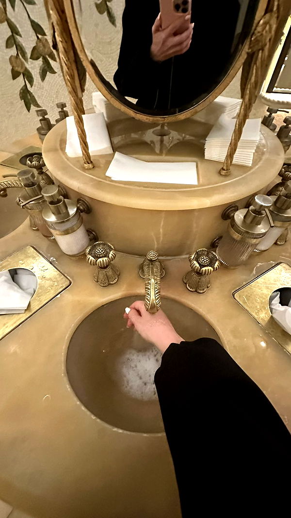 mira.0004 image ~ Altpins